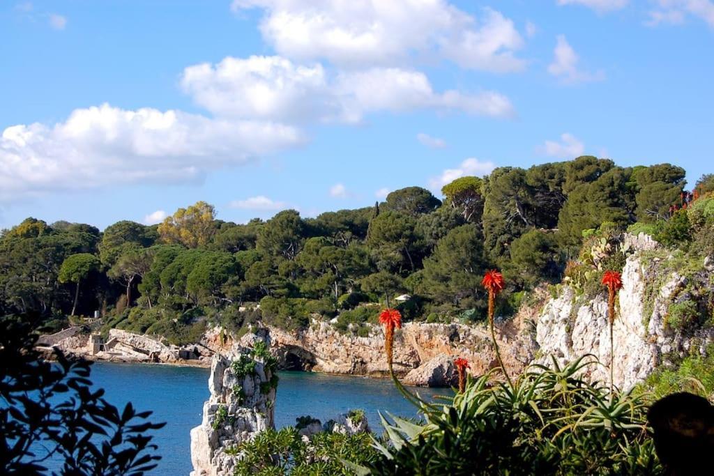 Ravissant Studio Au Coeur Du Vieil Antibes Luaran gambar